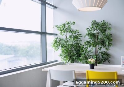 ag电子俱乐部 | 双色球观察力技巧与充值问题全解析