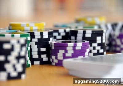 ag电子俱乐部：极速数字游戏背后的年龄层娱乐偏好解析