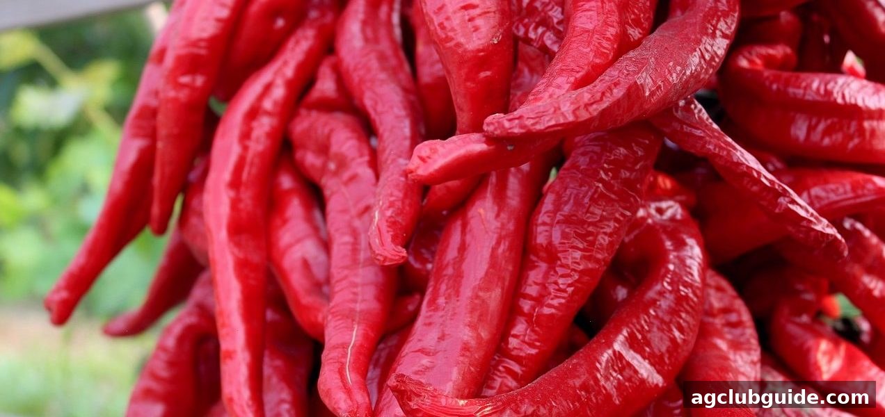 水果机虚拟币与签到玩法全攻略：ag电子俱乐部带你玩转经典与创新