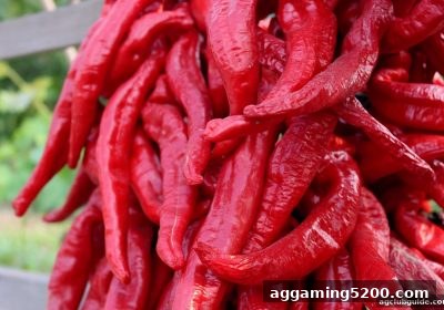 水果机虚拟币与签到玩法全攻略：ag电子俱乐部带你玩转经典与创新
